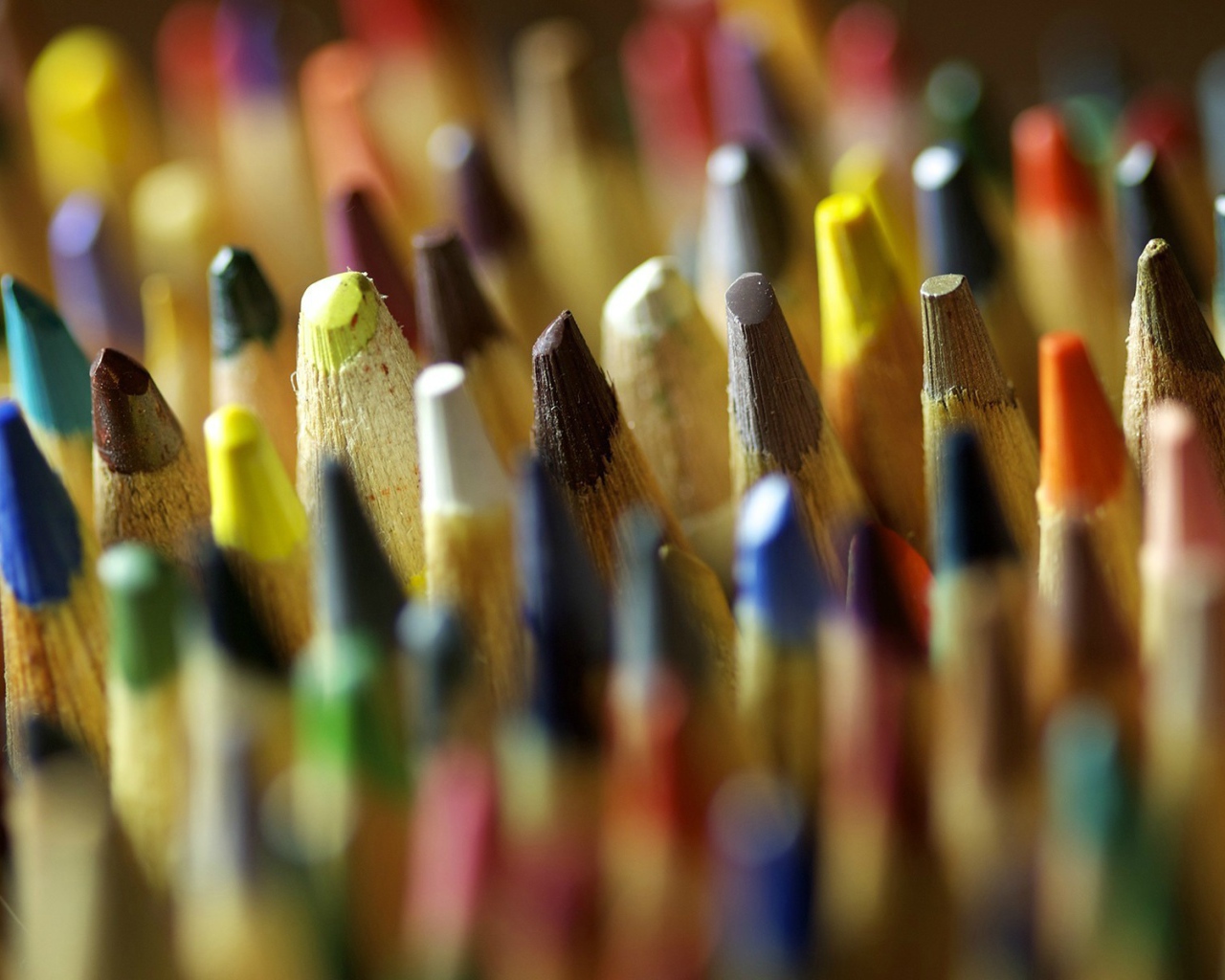Заостренные кончики разноцветных карандашей