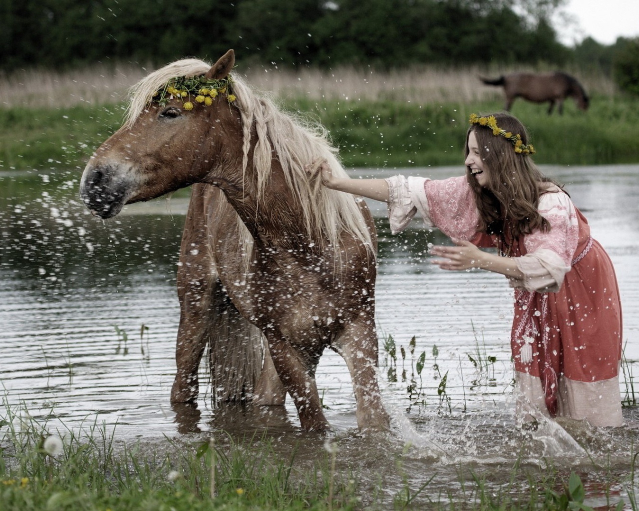 Девушка купает лошадь