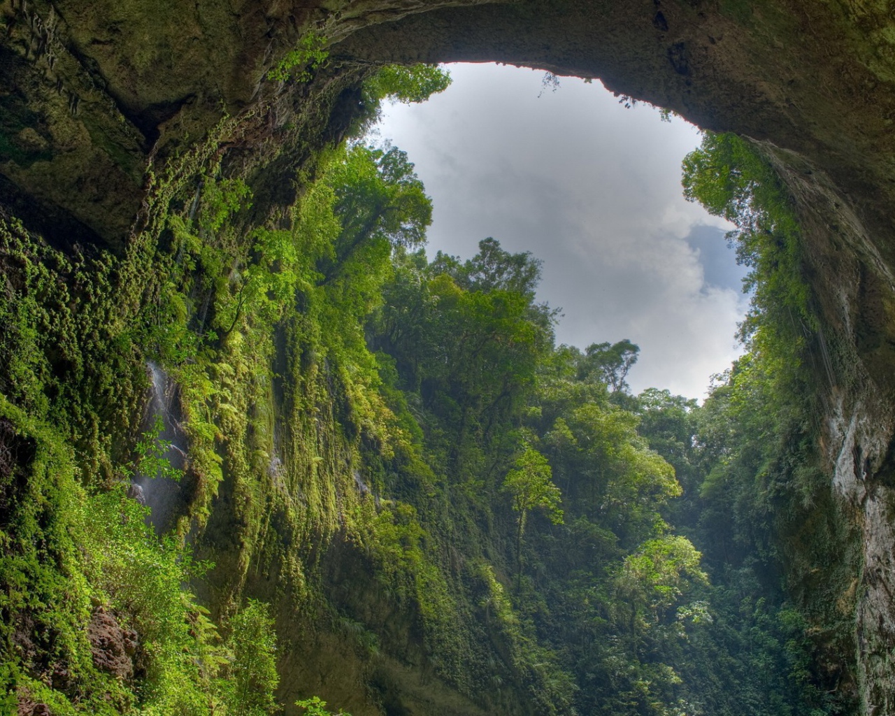 Пещера заросла зеленью изнутри