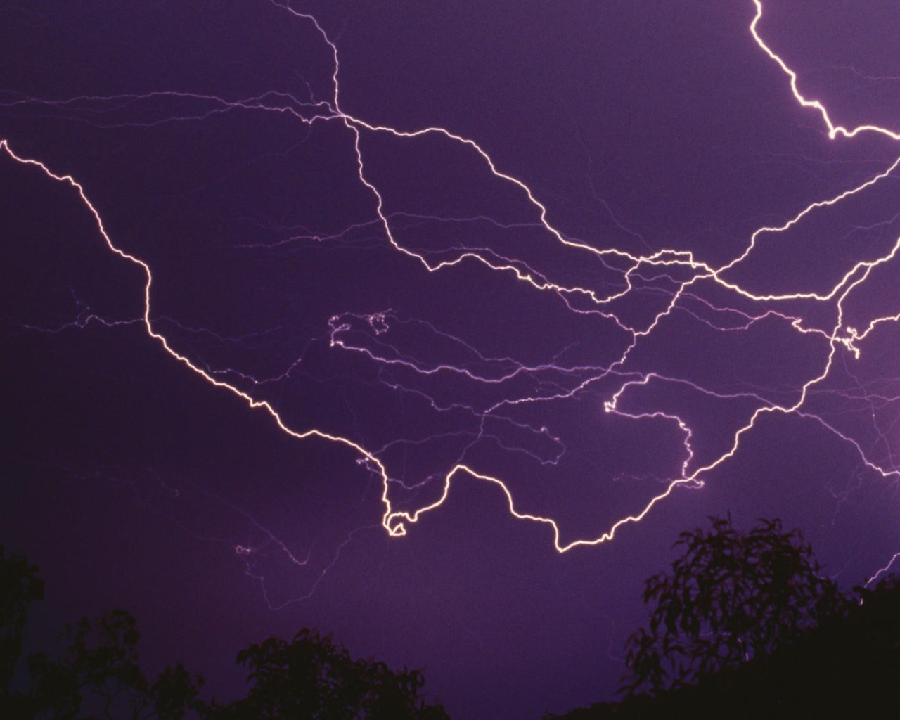 Lightning in the purple sky at night