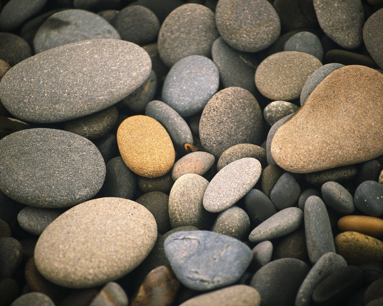 Гладкие морские камешки разного цвета