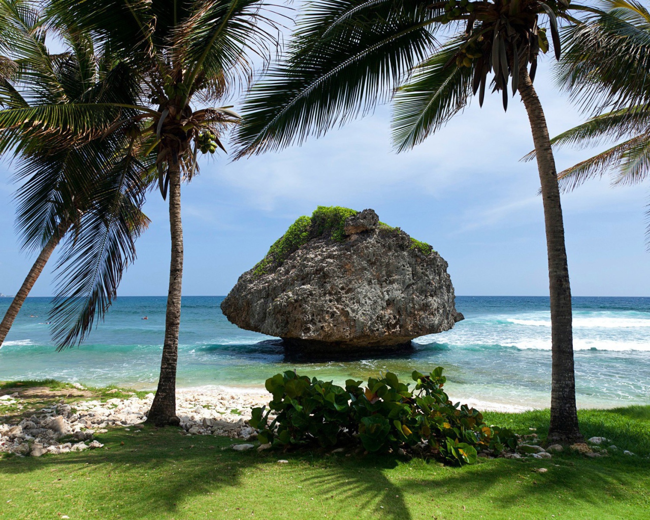 Пальмы на фоне большого камня у берега