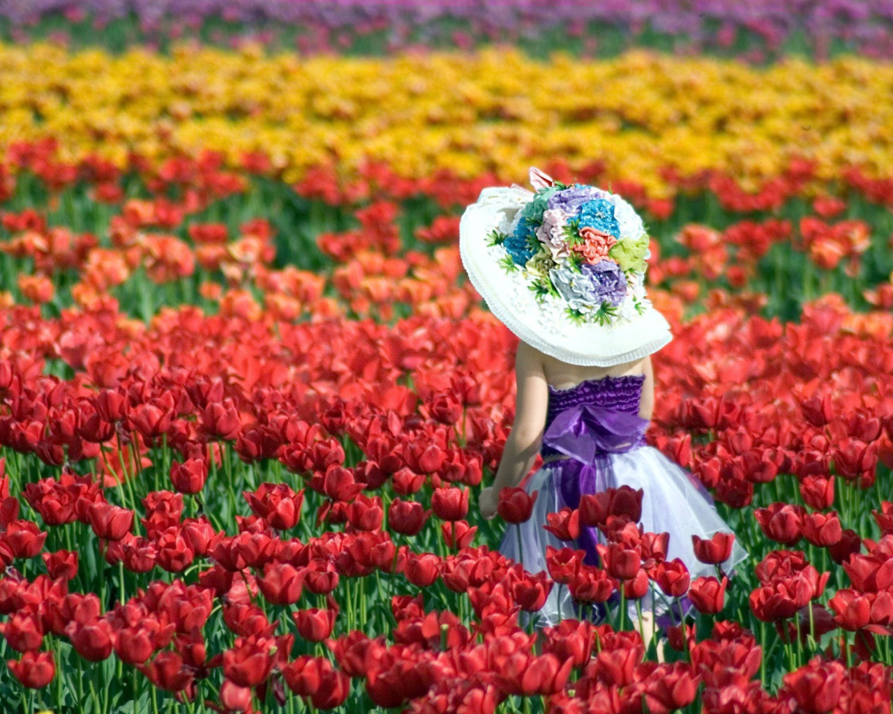 Девочка в шляпе идет среди красных тюльпанов