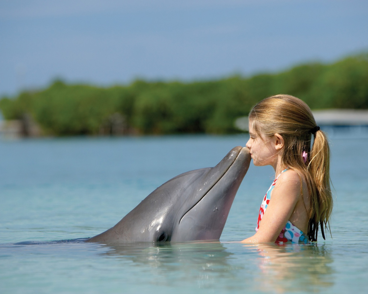 Маленькая девочка целует дельфина
