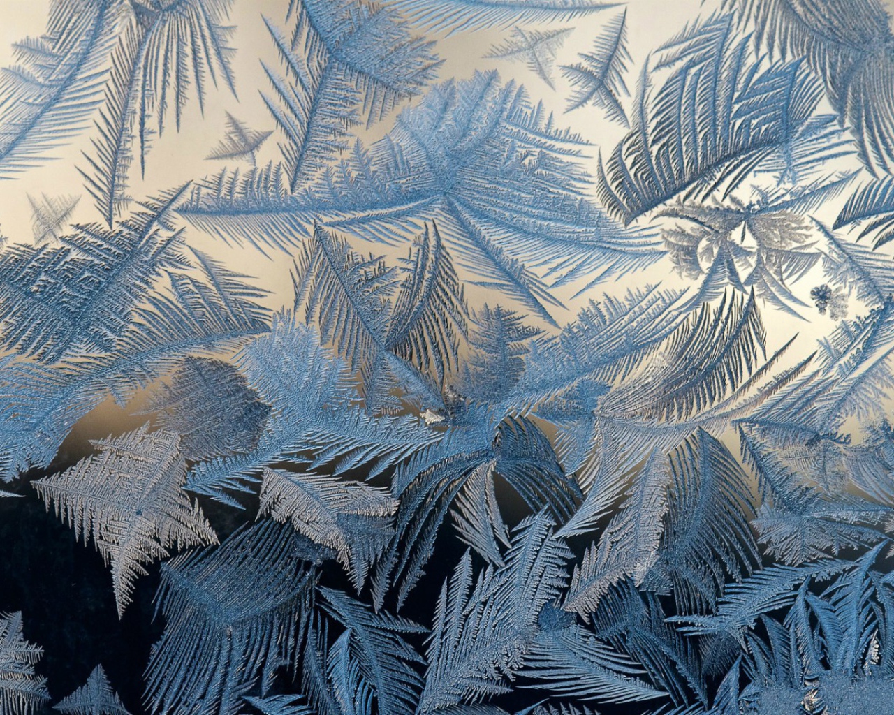 Мороз рисует узоры на стекле