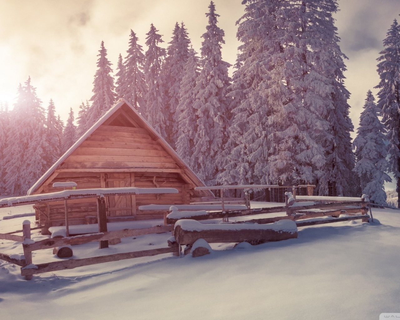 Деревянный дом в зимнем лесу