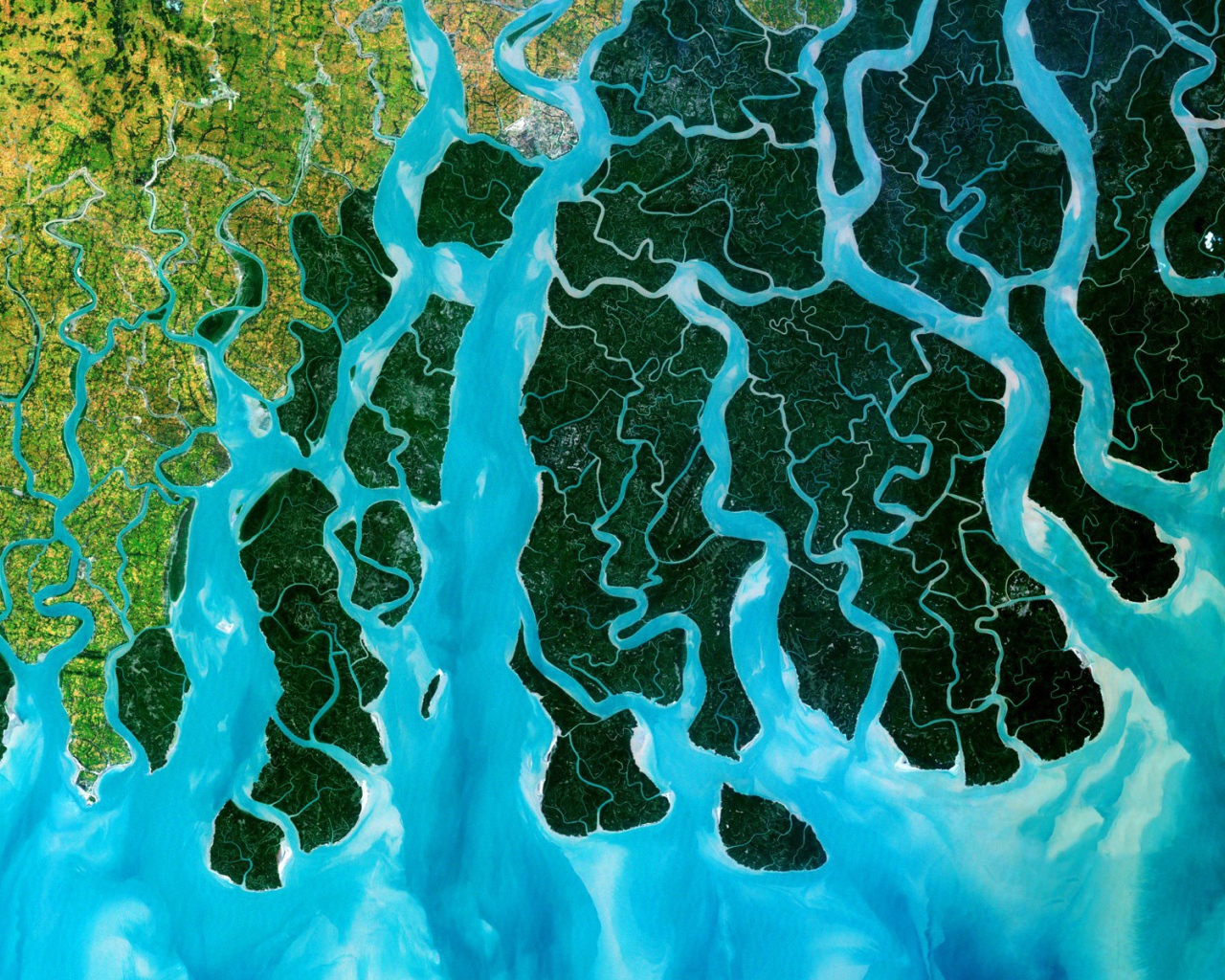 Устье реки Ганг, фото из космоса