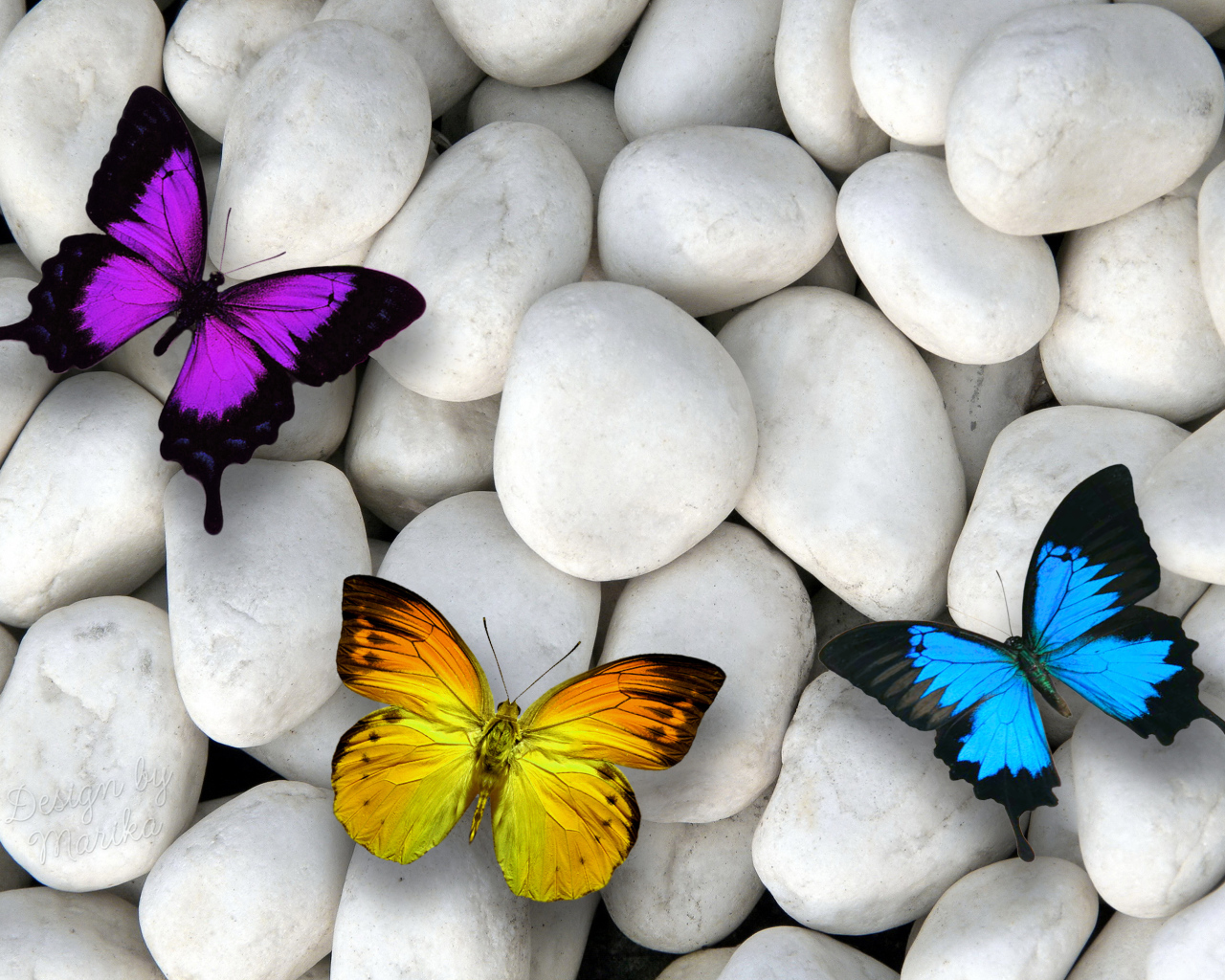 Три разноцветные бабочки на белых камнях 