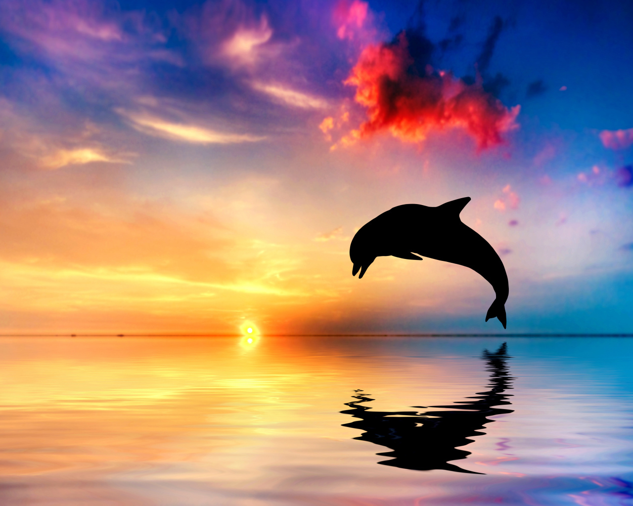 Прыжок дельфина из воды в океане на закате солнца