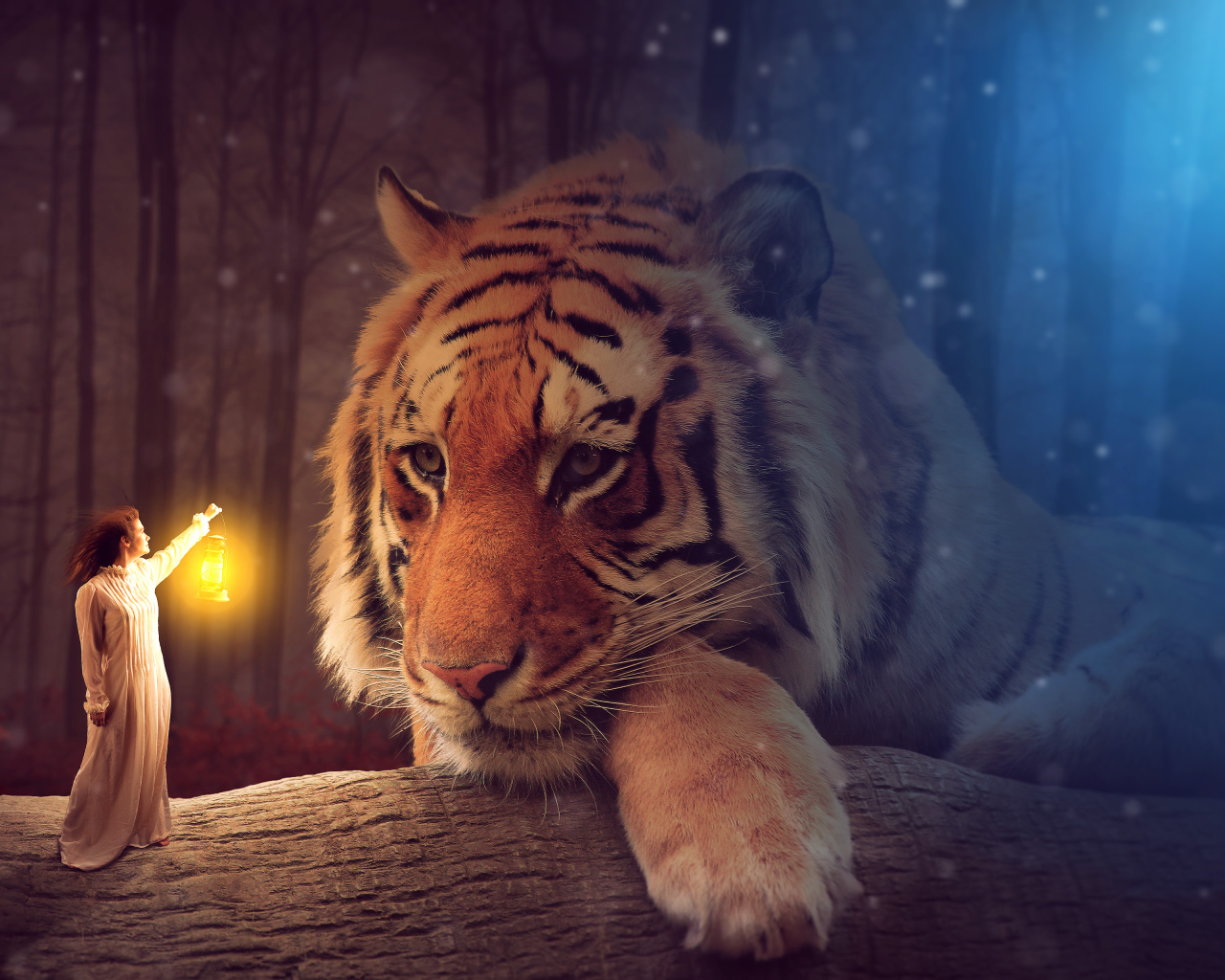Девушка с фонарем освещает большого тигра