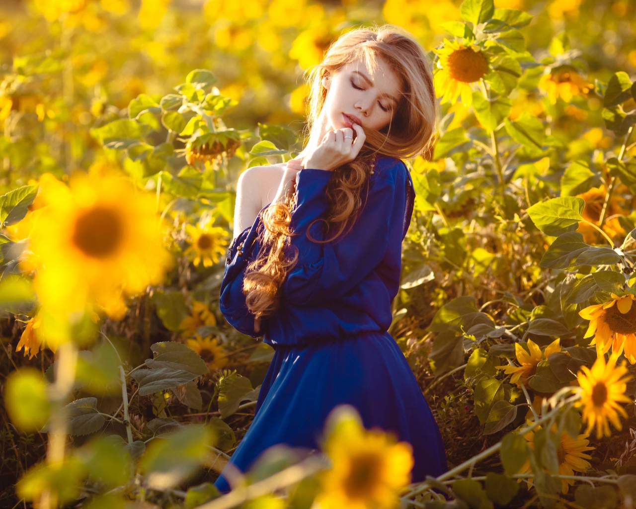 Красивая девушка в голубом платье в поле подсолнухов 