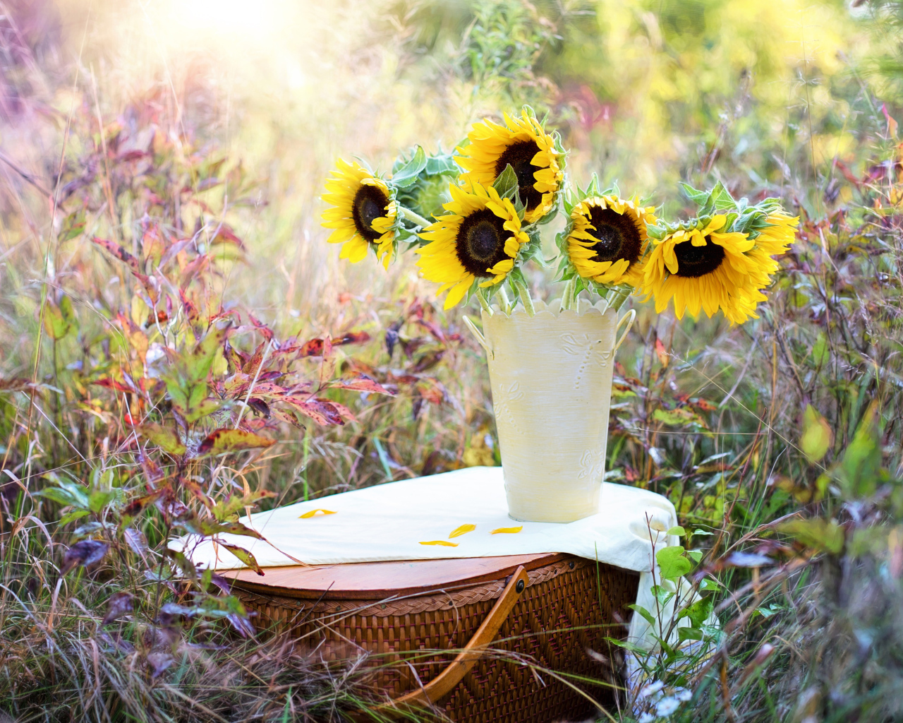 Yellow flowers of a sunflower in a vase stand on a basket