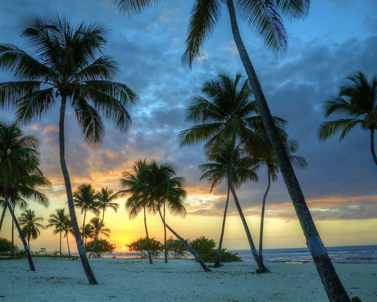 Пальмы на белом песке на закате солнца у океана