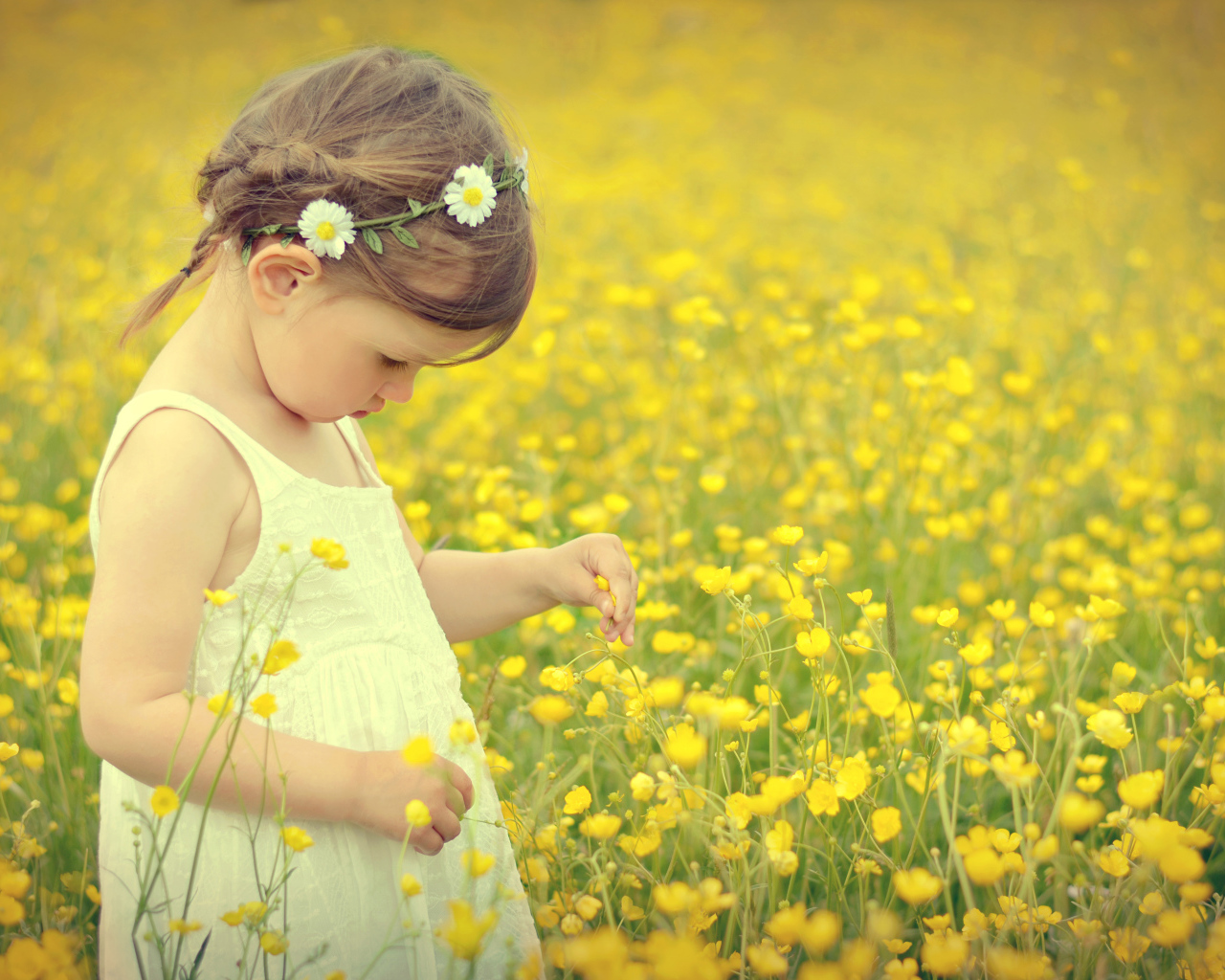 Маленькая девочка в белом платье на лугу с желтыми цветами