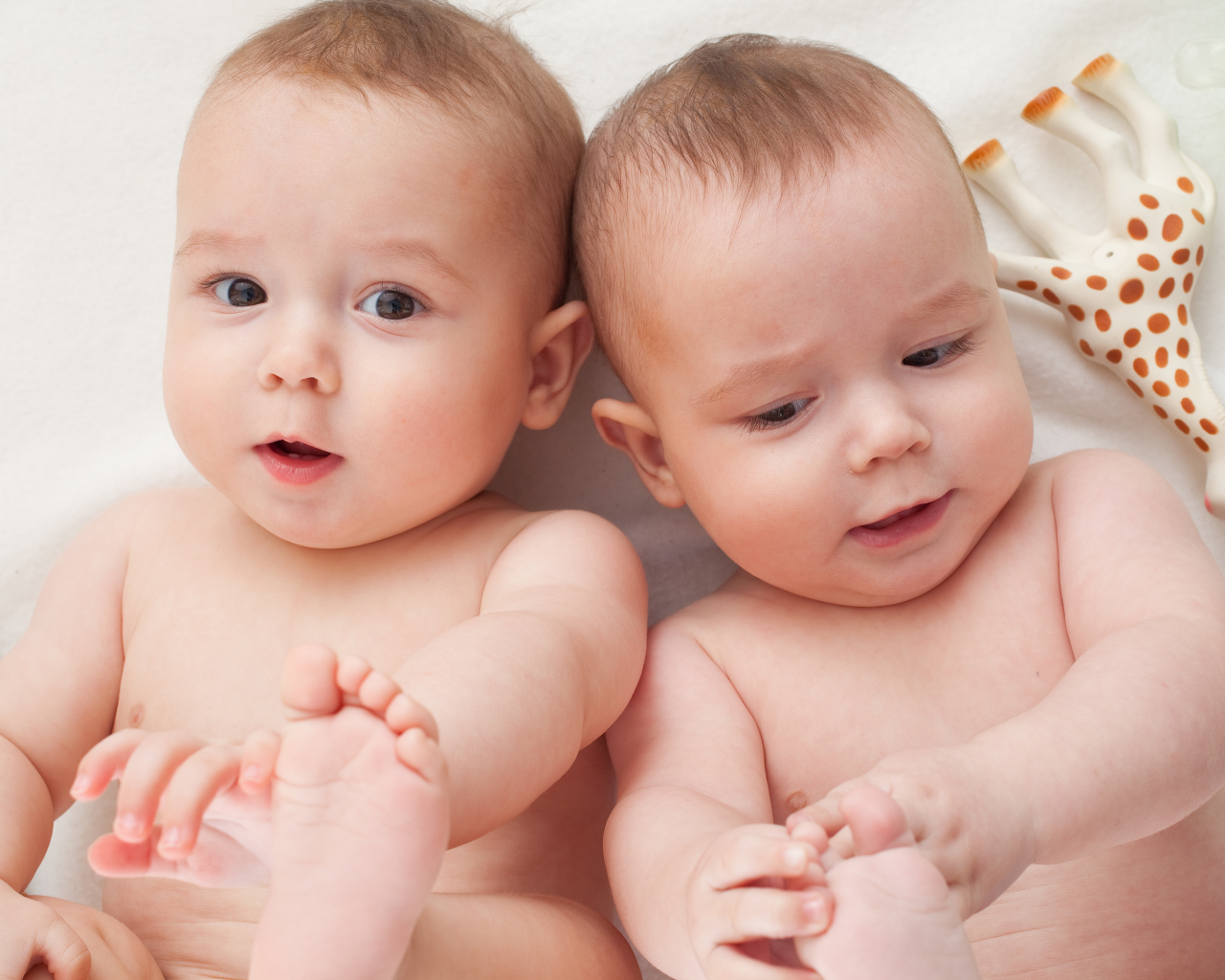 Два маленьких грудных ребенка близнеца с игрушкой