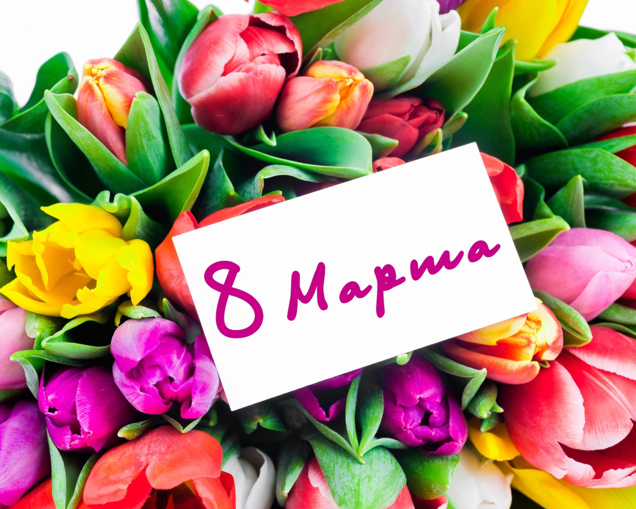 Красивый букет разноцветных тюльпанов на Международный Женский день 8 марта