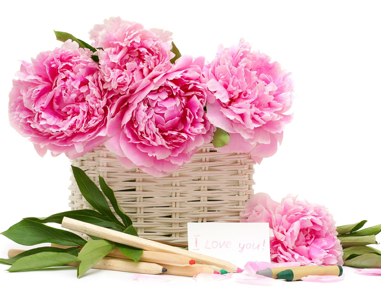 Корзина розовых пионов с карандашами на белом фоне