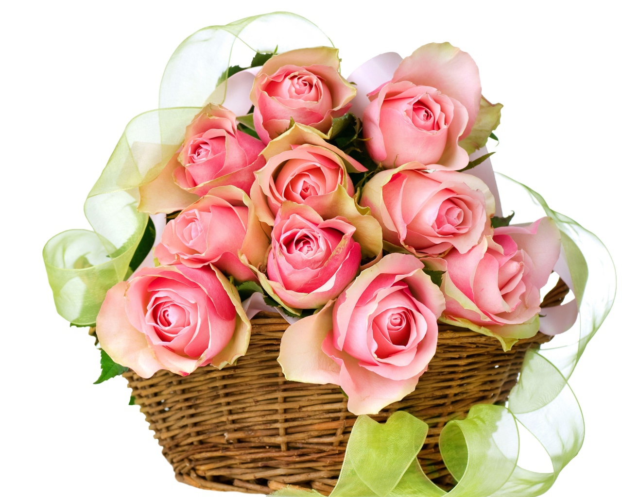 Букет розовых роз в корзине с лентой на белом фоне