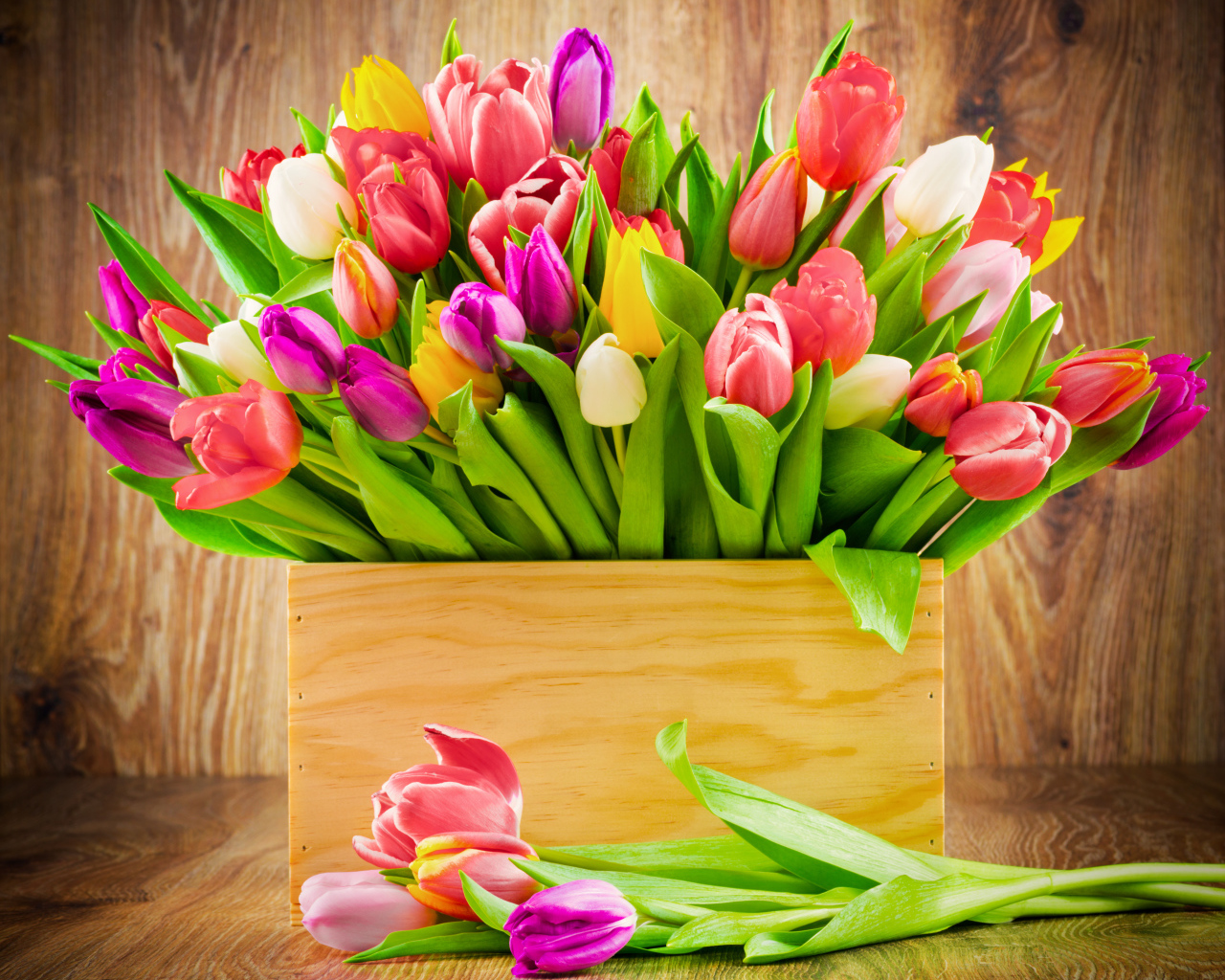 Деревянный ящик с разноцветными тюльпанами