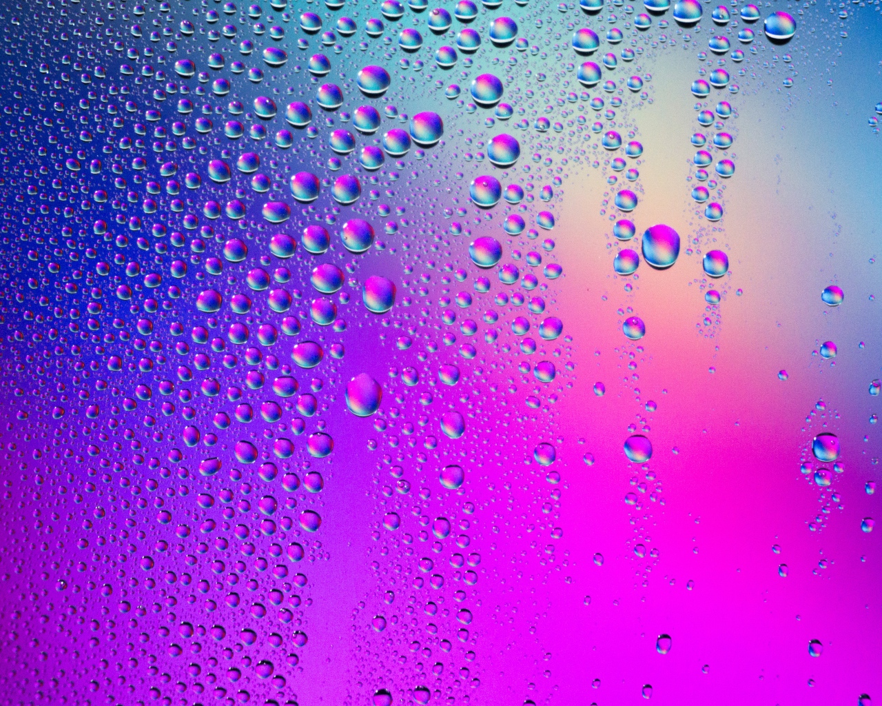 Пурпурный фон с каплями воды 