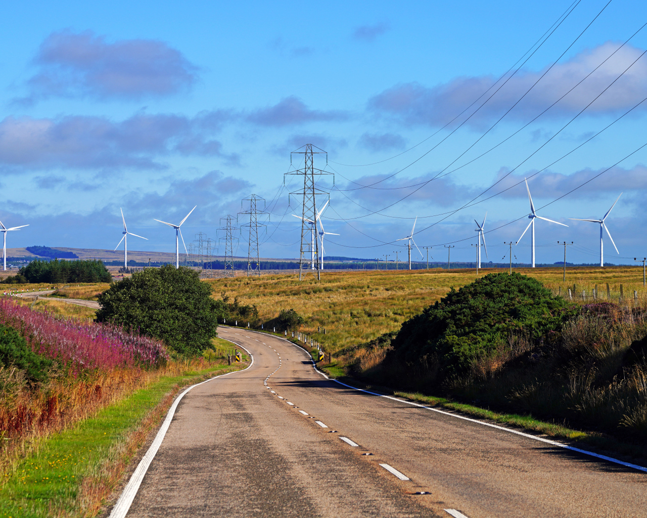 Ветрогенераторы в поле у дороги под голубым небом