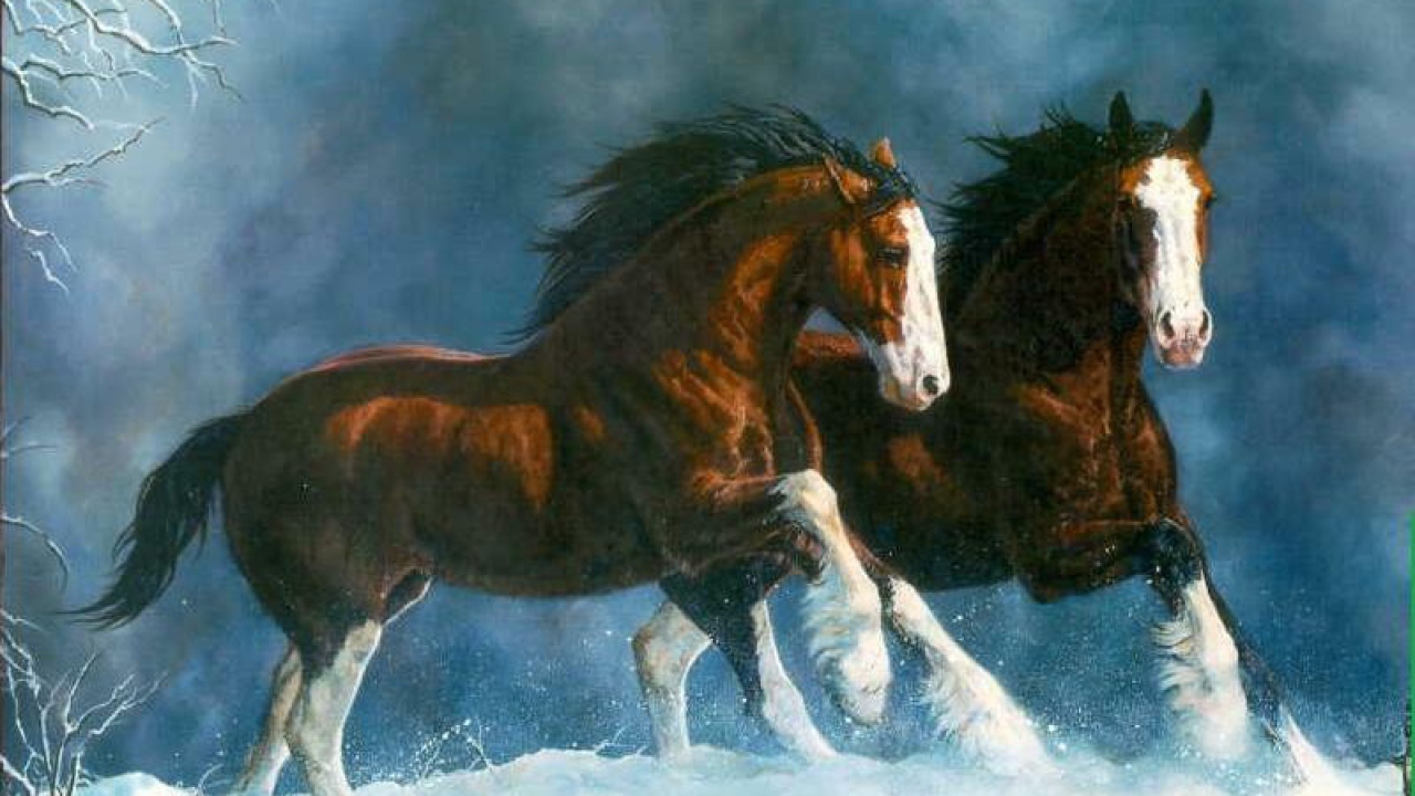 Два коня
