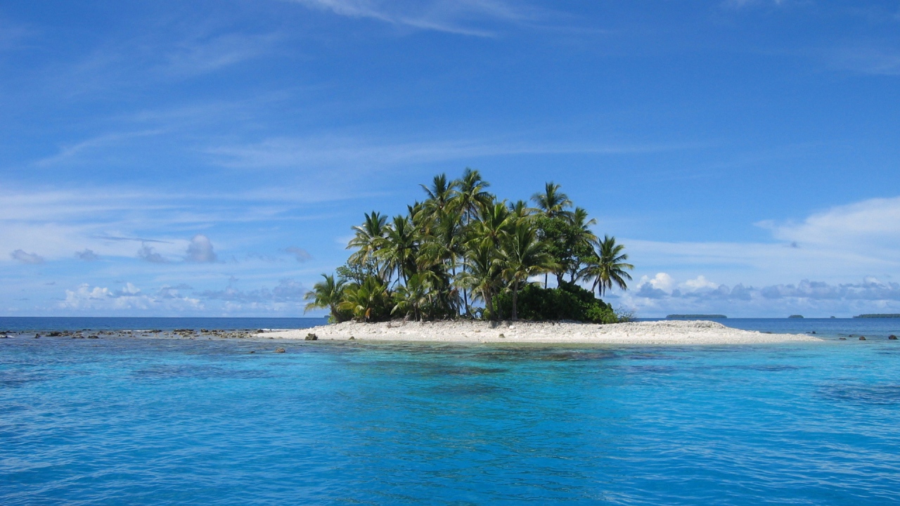 Island with trees