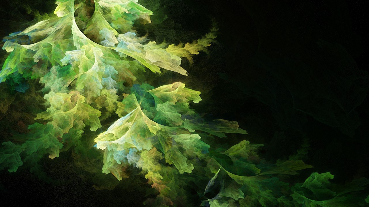 Абстрактные листья салата