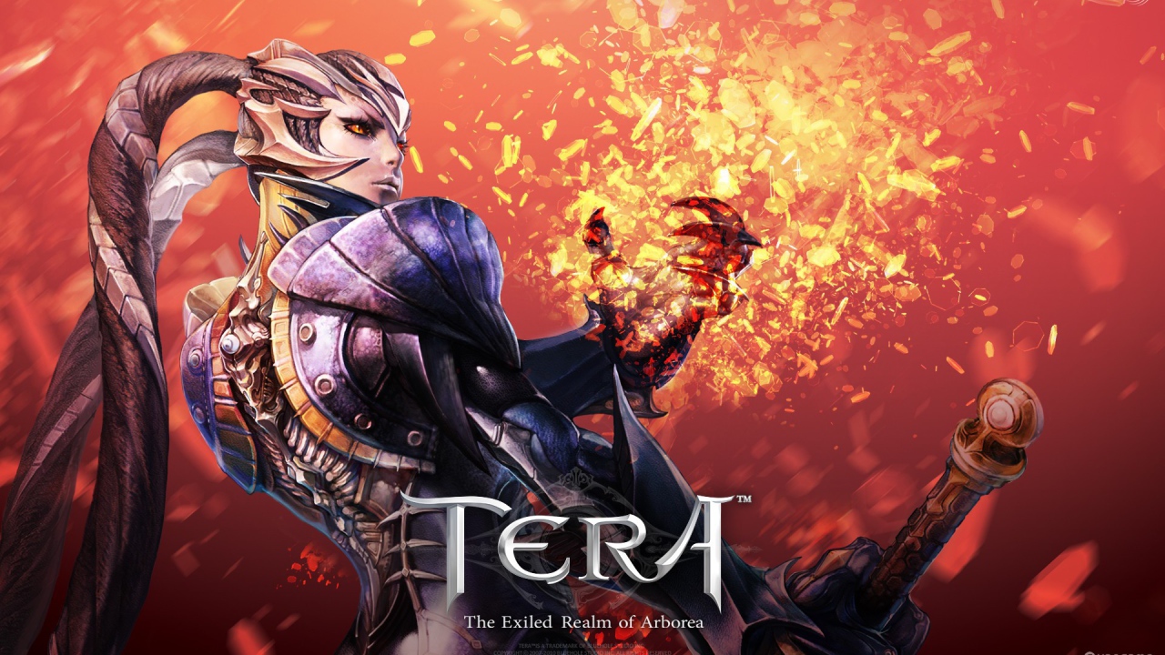 The warrior of video games Tera