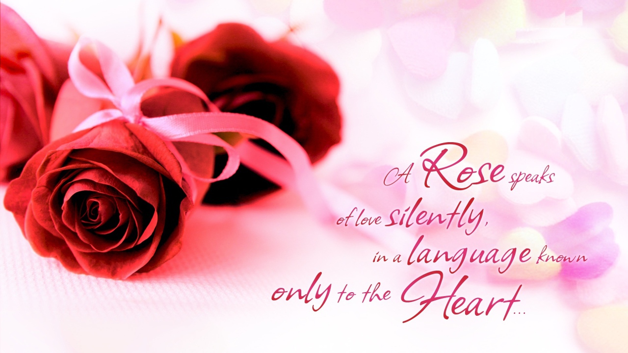 Красные розы и красивые слова о любви