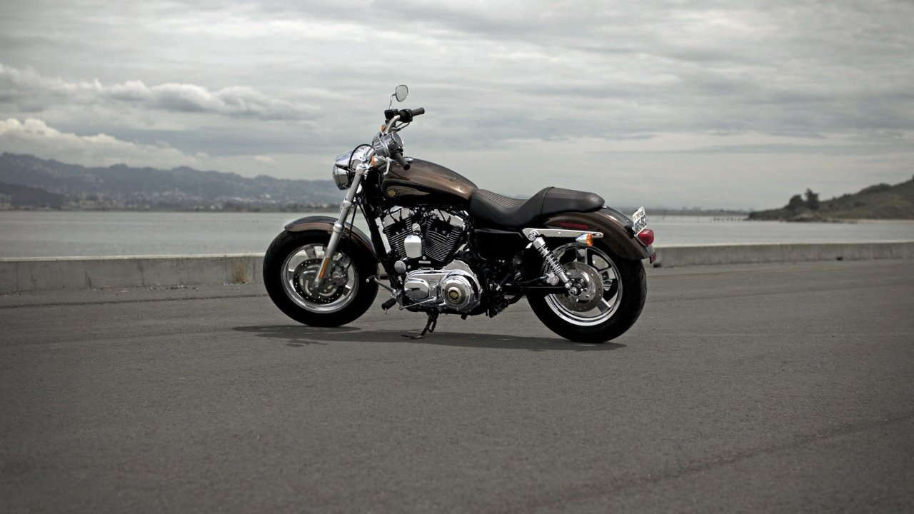 Тест-драйв мотоцикла Harley-Davidson XL 1200C Sportster Custom