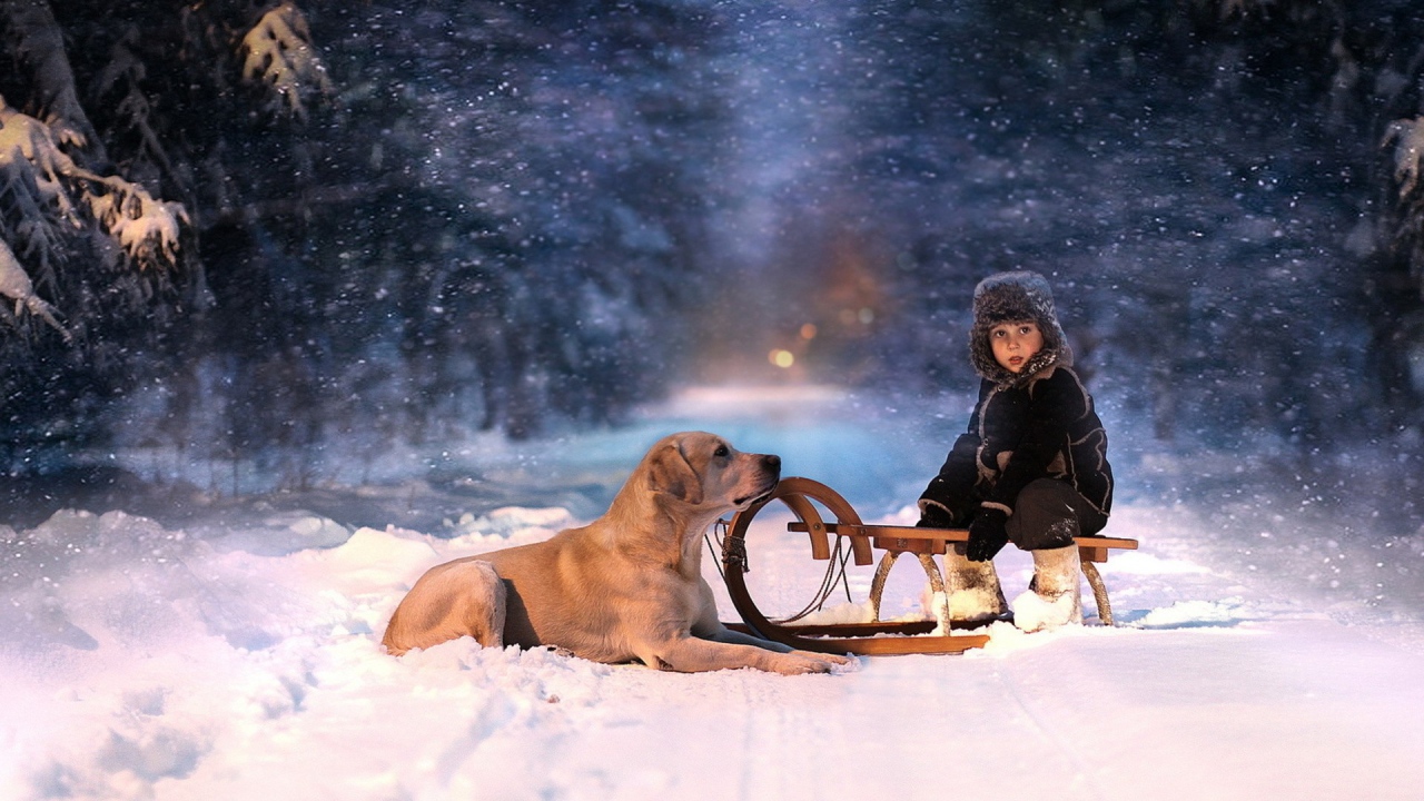 A dog and a child on a sledge