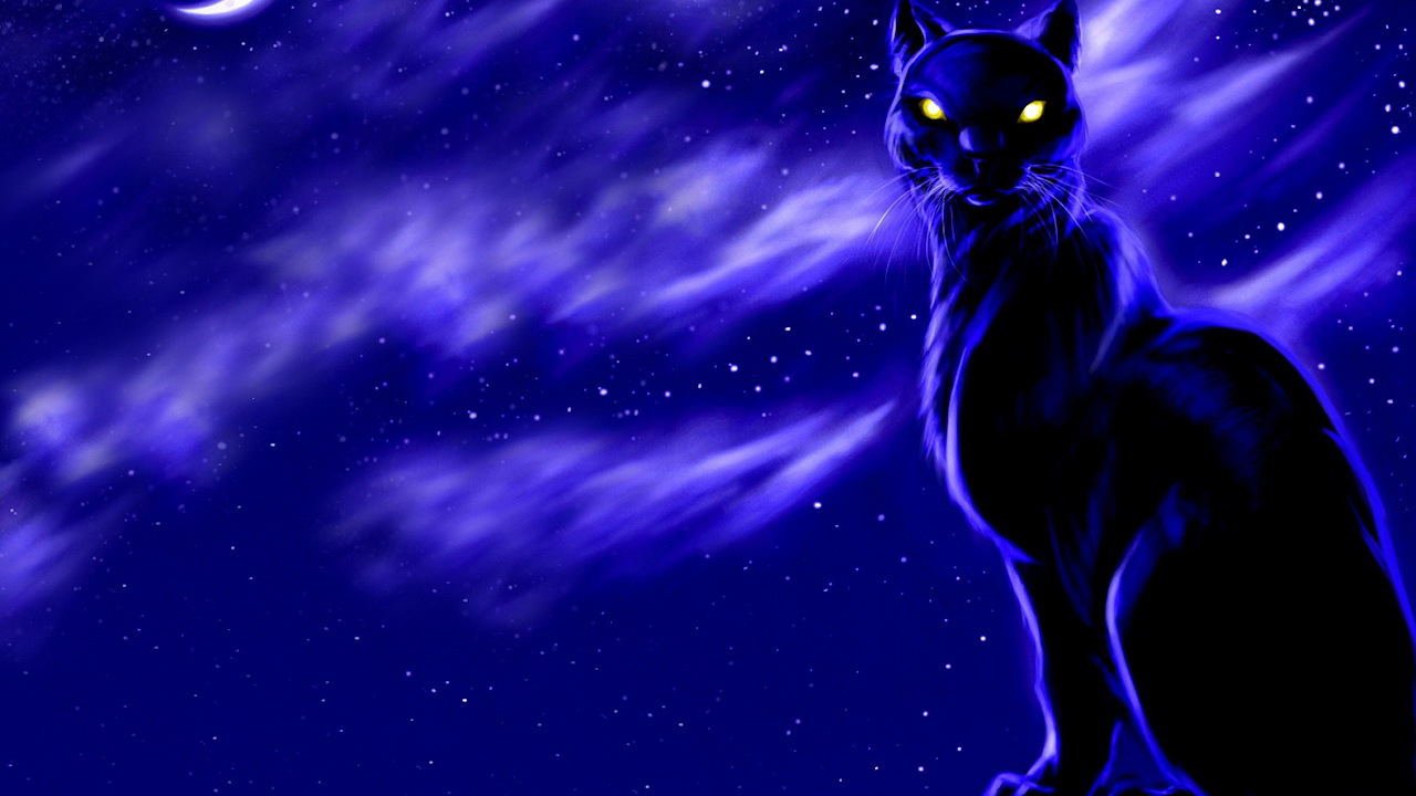 Черный кот лунной ночью