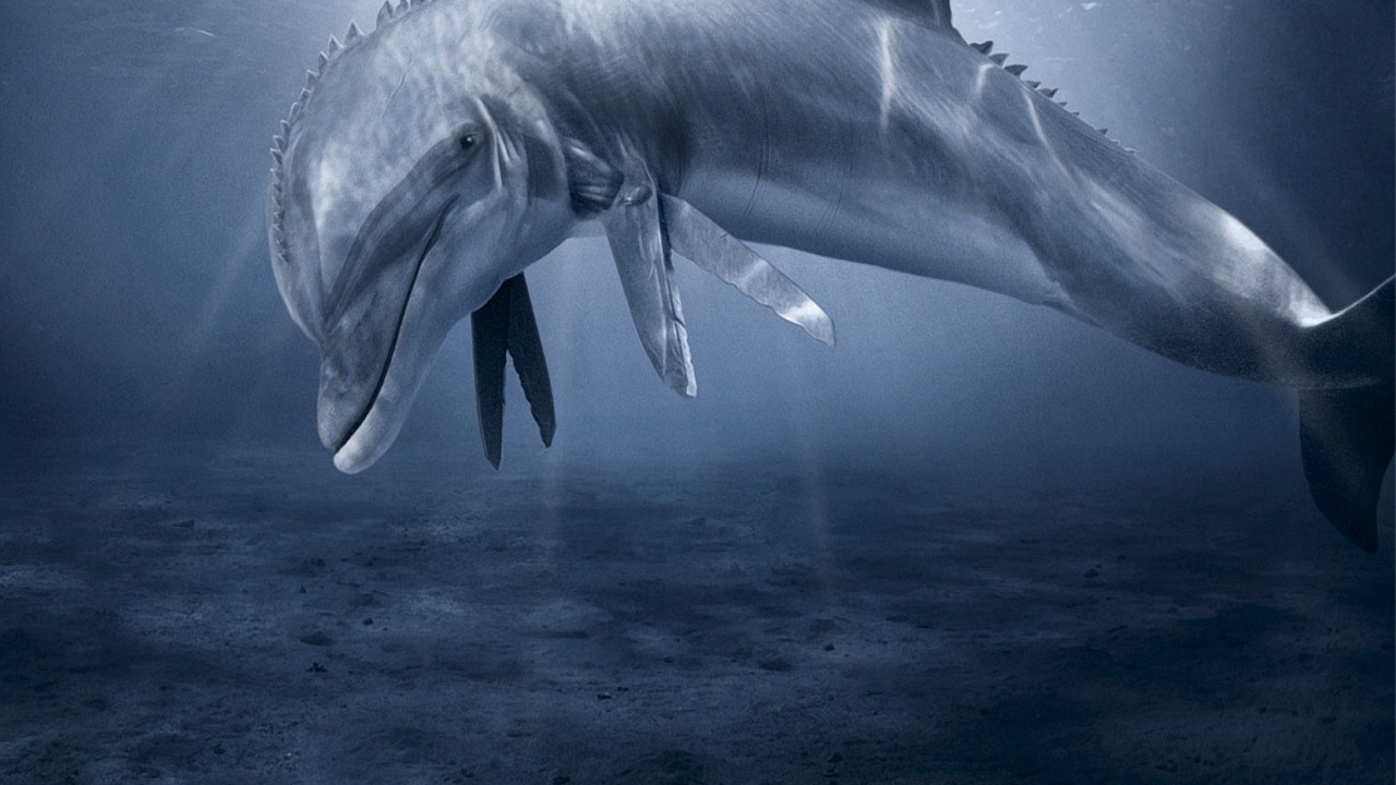 Дельфин с ножницами