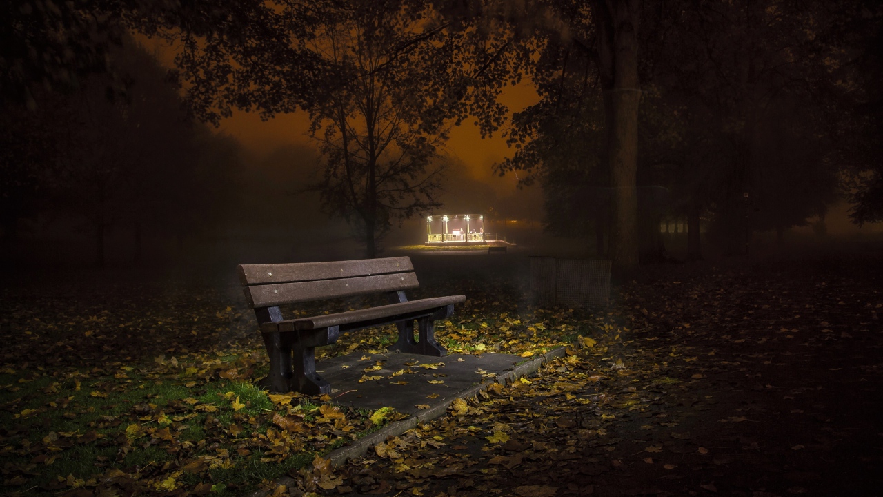 Одинокая скамейка в осеннем парке ночью