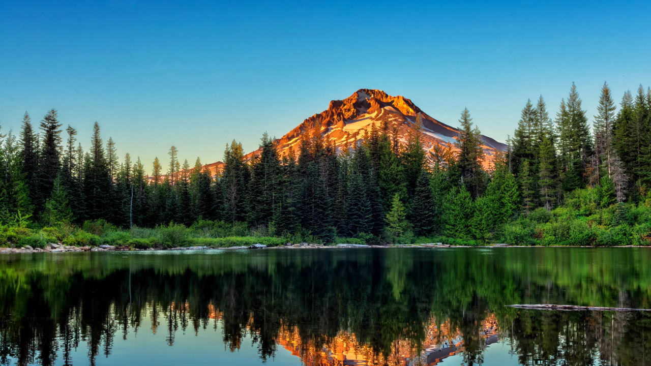 Сосновый лес и гора отражаются в воде, Йосемитский национальный парк. Калифорния 