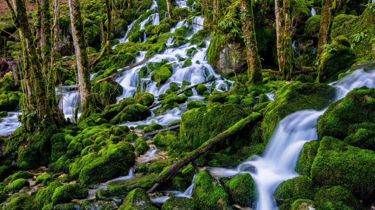 Водопад в лесу стекает по зеленым камням 