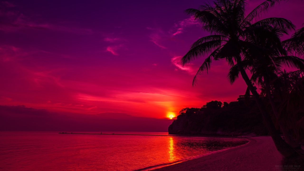 Пальмы на пляже под розовым закатом 