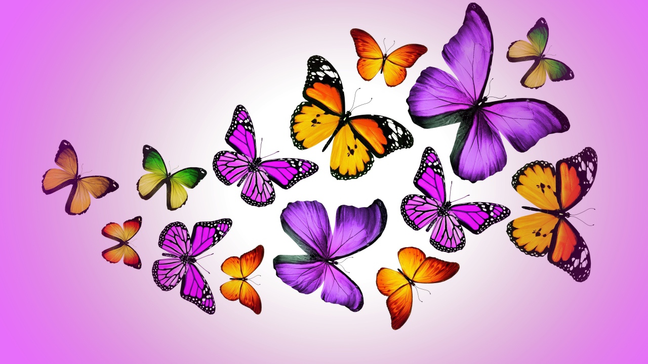 Many multicolored butterflies on a lilac background, 3d graphics