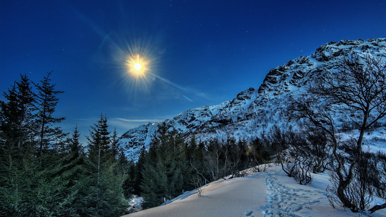 Солнце над заснеженными горами и лесом,  Лофотенские острова. Норвегия
