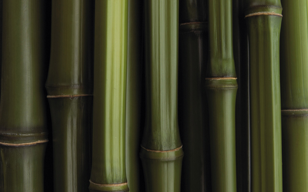 Бамбуковая текстура
