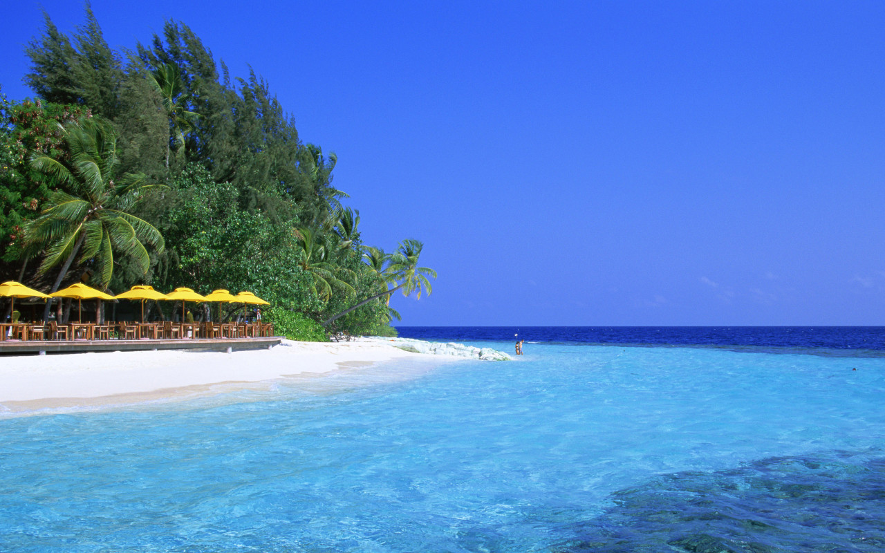 Previous, World - Maldives - The resort in Paradise wallpaper