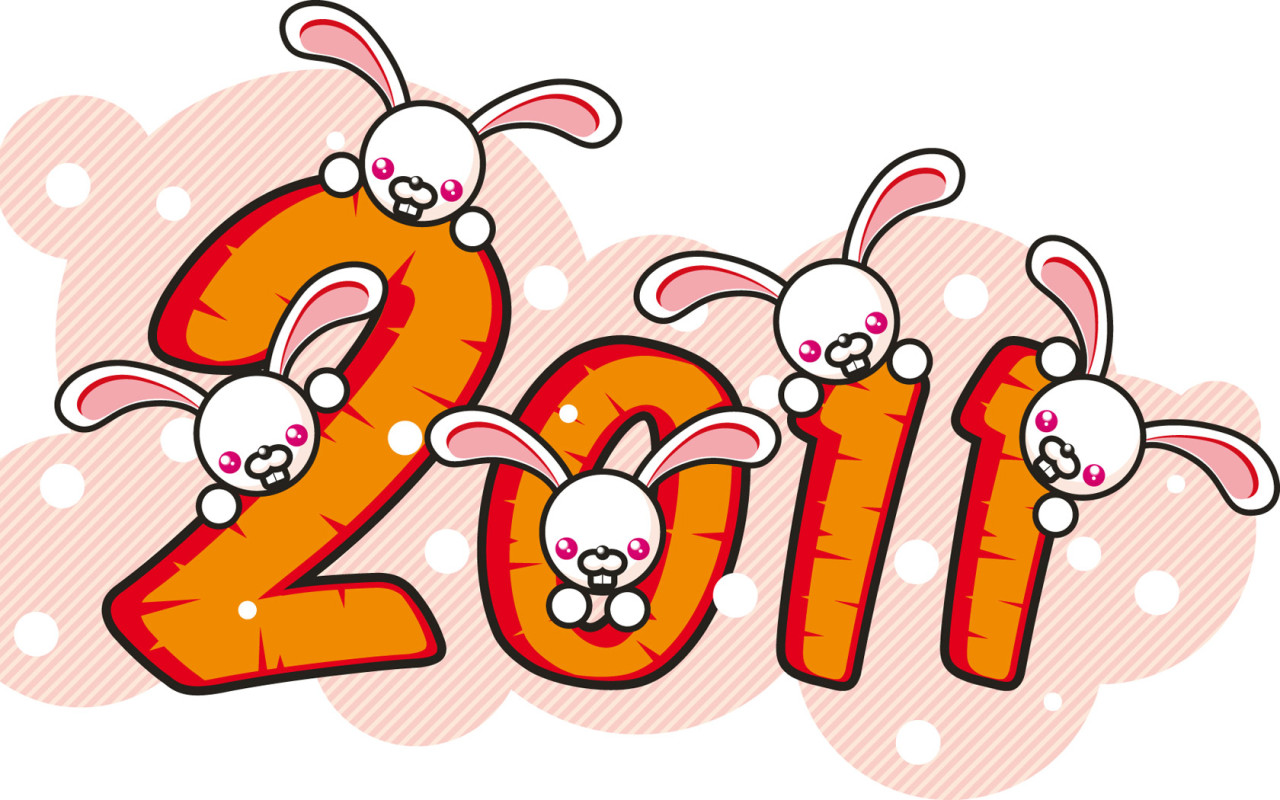 2011 year Rabbit