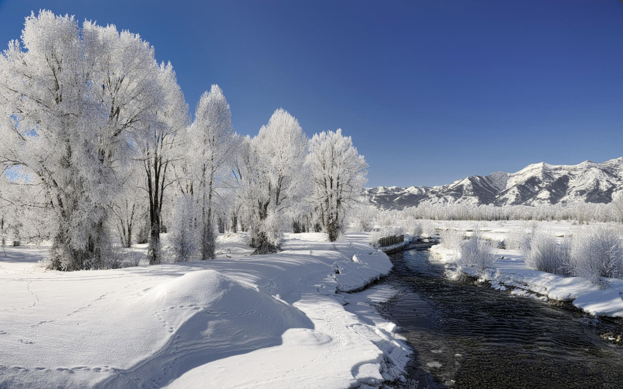 http://www.zastavki.com/pictures/1280x800/2010/Winter_wallpapers_Winter_landscape_019337_.jpg