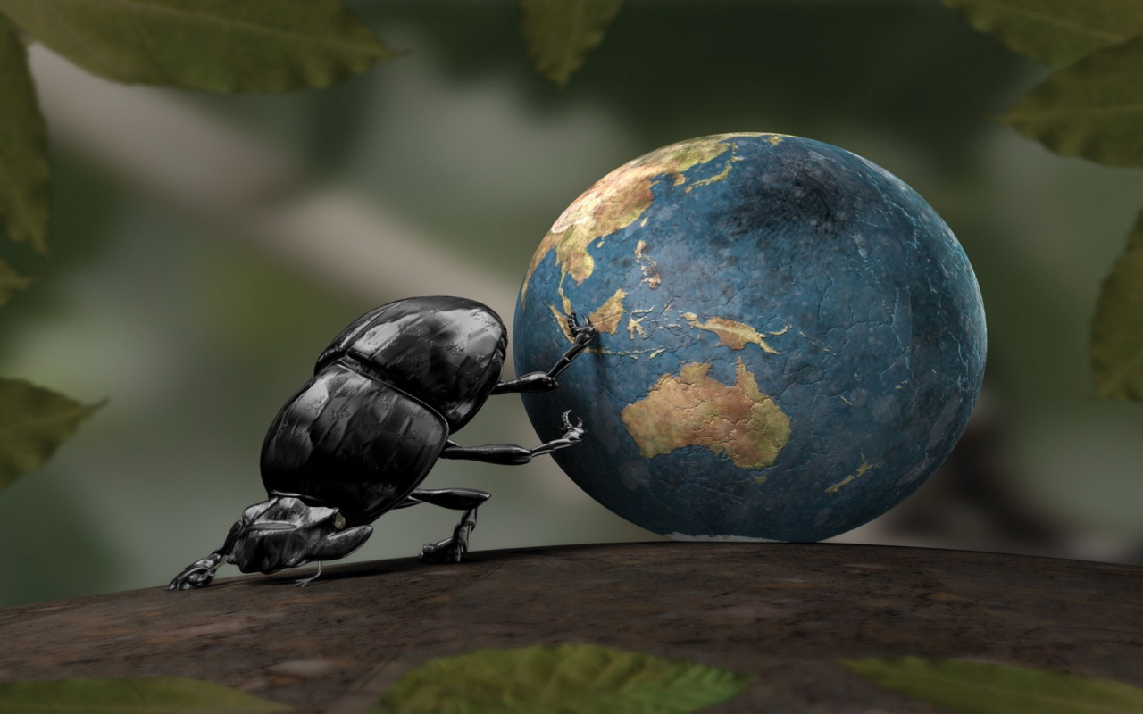 Bug Beetle