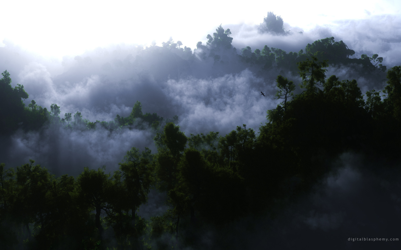 Туман среди деревьев
