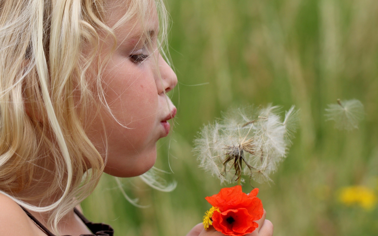 Девочка дует на цветок одуванчик