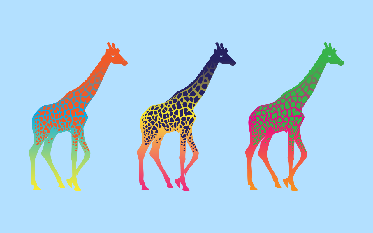Красочные жирафы, голубой фон