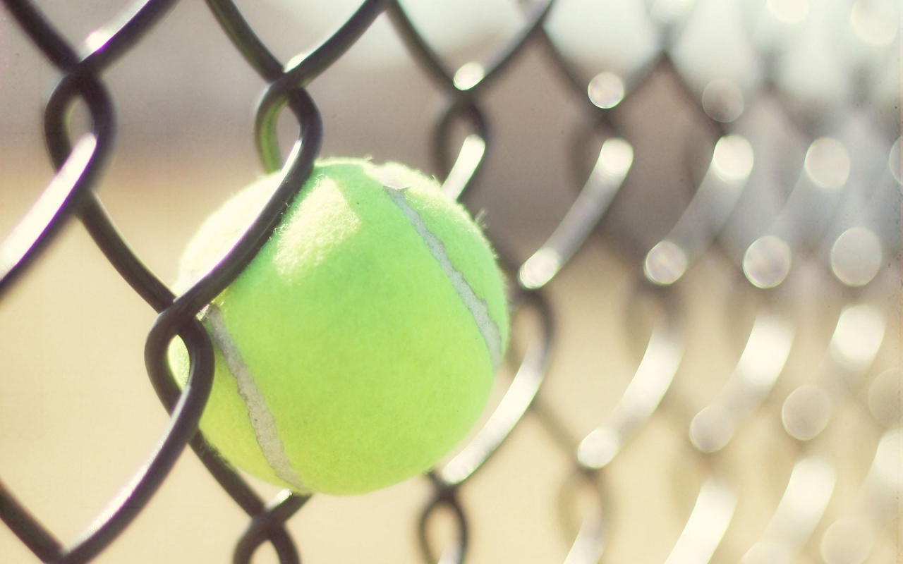 Мяч для тенниса застрял в решетке