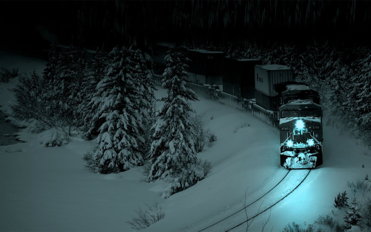 The train leaves from a snow-covered forest